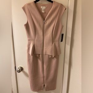 NWT EnFocus Studio Bodycon Dress in Rose Blossom Size:8